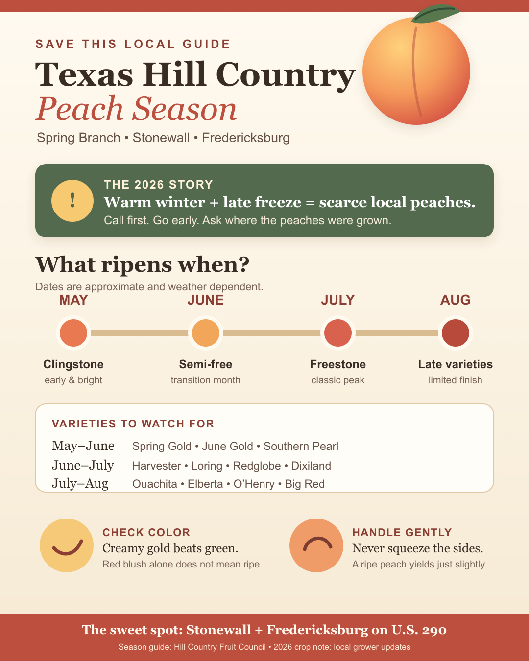Texas Hill Country peach season timeline from May through August